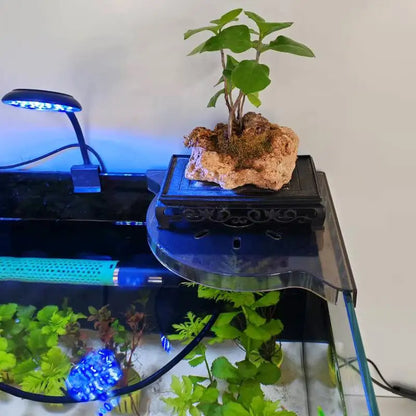 Aquarium Corner Storage Shelf for Plants & Accessories