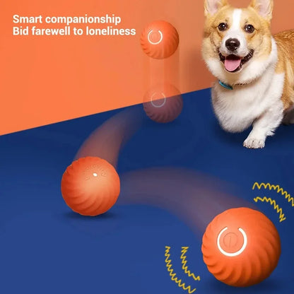 Automatic Interactive Dog Toy Ball