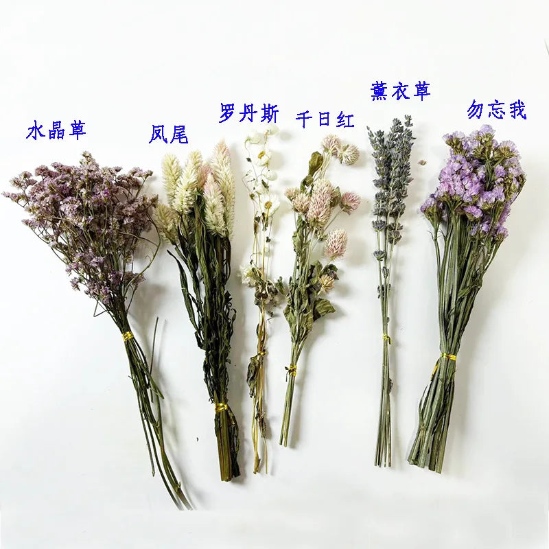 Natural Dried Flower Habitat Decor for Small Pets