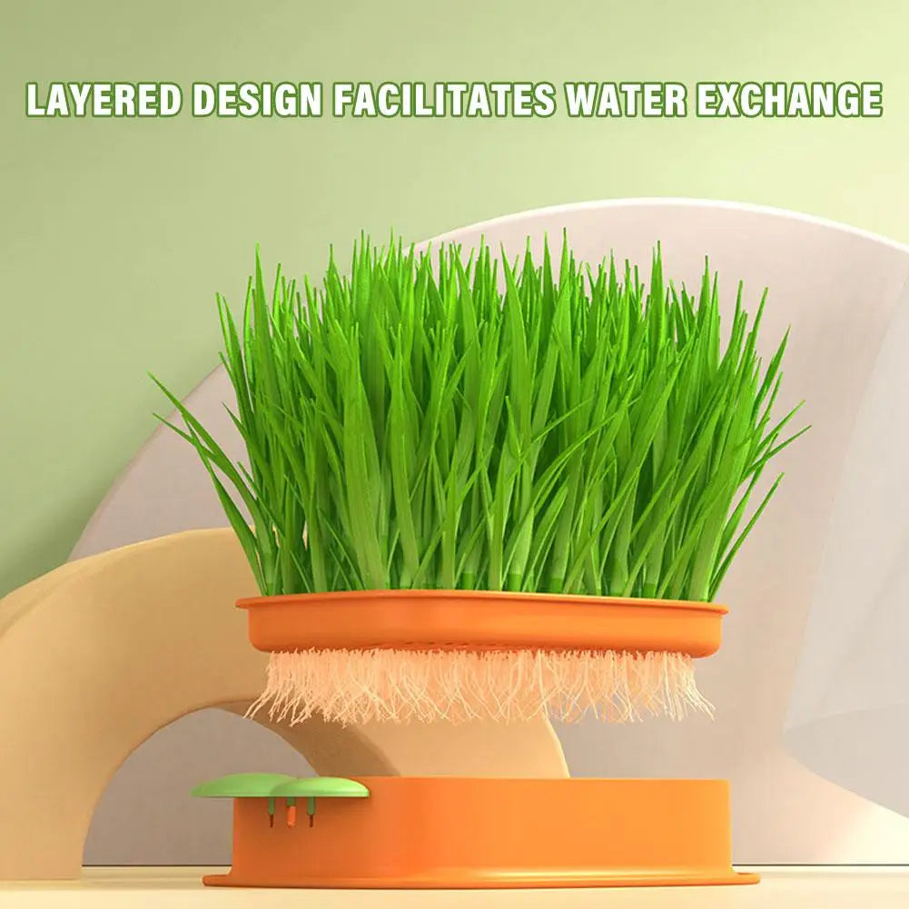 Carrot Cat Grass Growing Planter