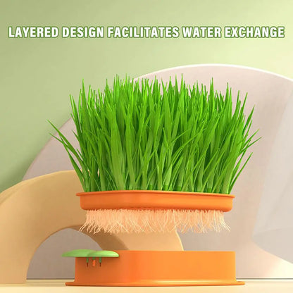 Carrot Cat Grass Growing Planter