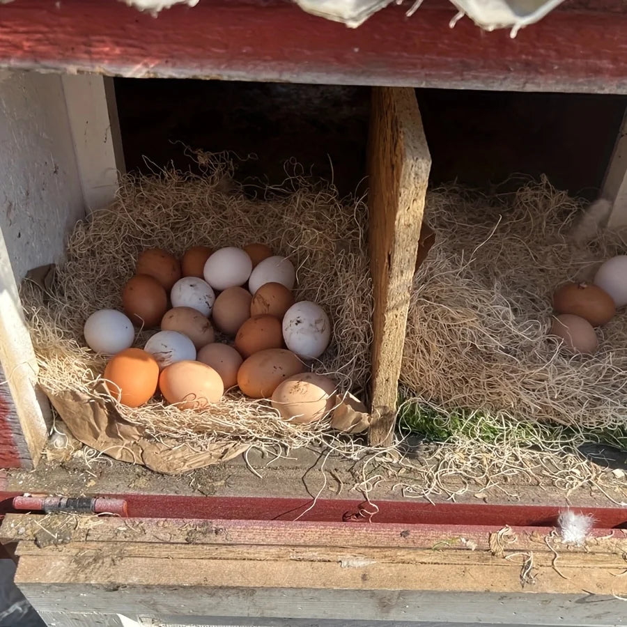 Chicken Nest Box Liner Mat