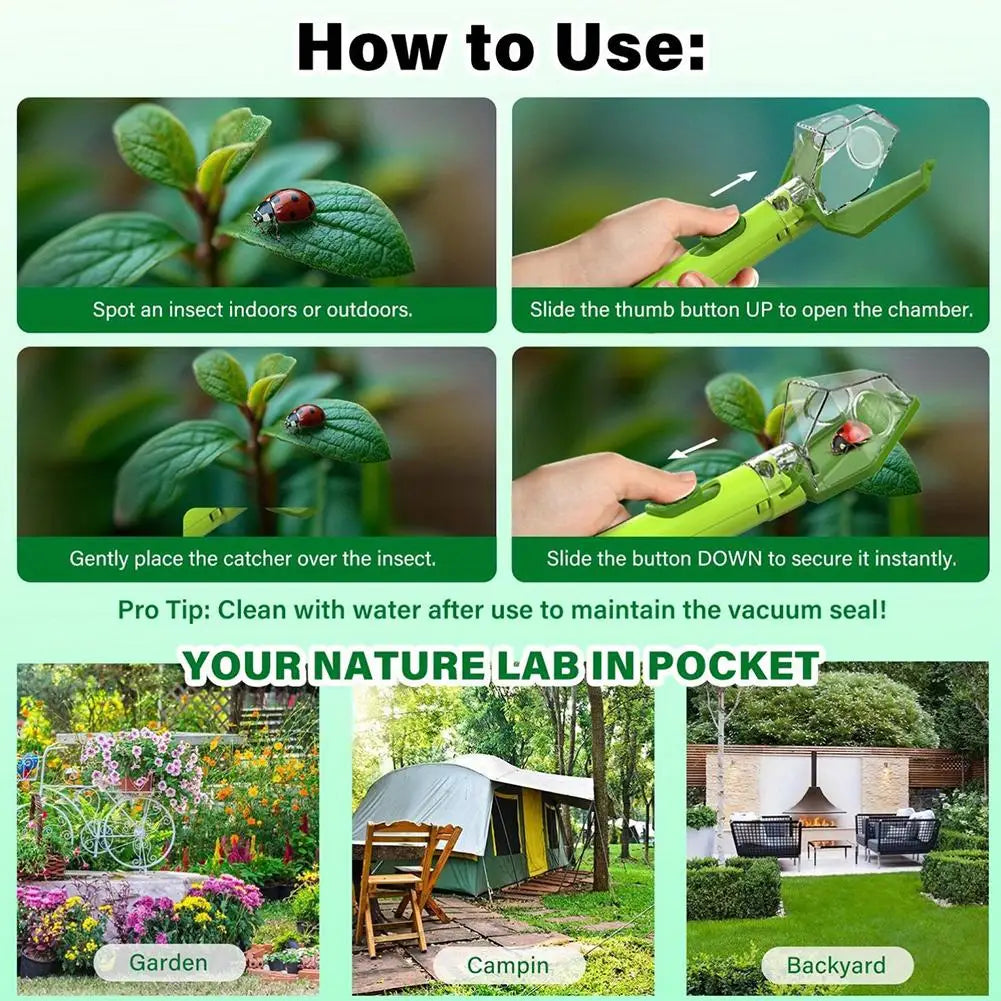 Bug Catcher & Insect Observation Viewer