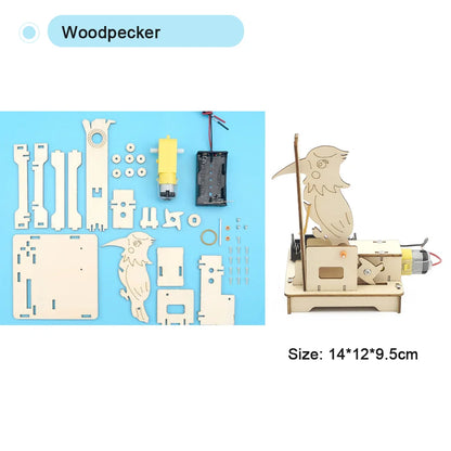 DIY Science Toys