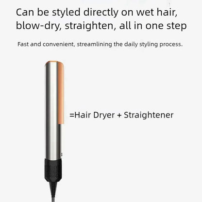 2 in 1 Professional Hair Dryer Straightener