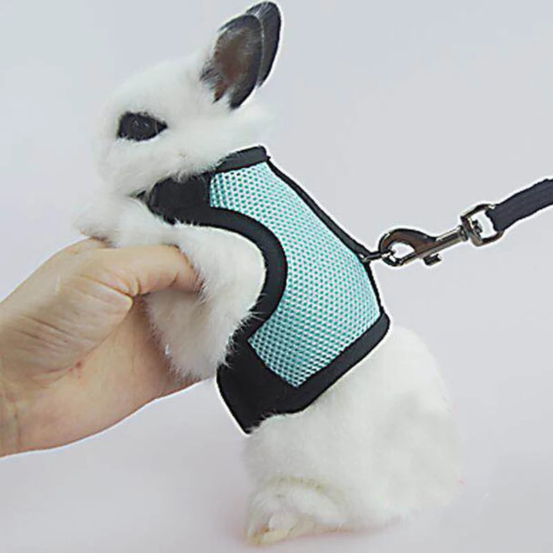 Breathable Small Pet Harness & Leash Set