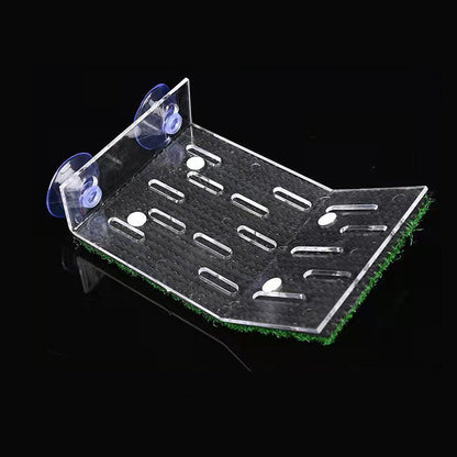 S/M/L Size Turtle Platform