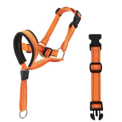 Adjustable Dog Muzzle Training Leash