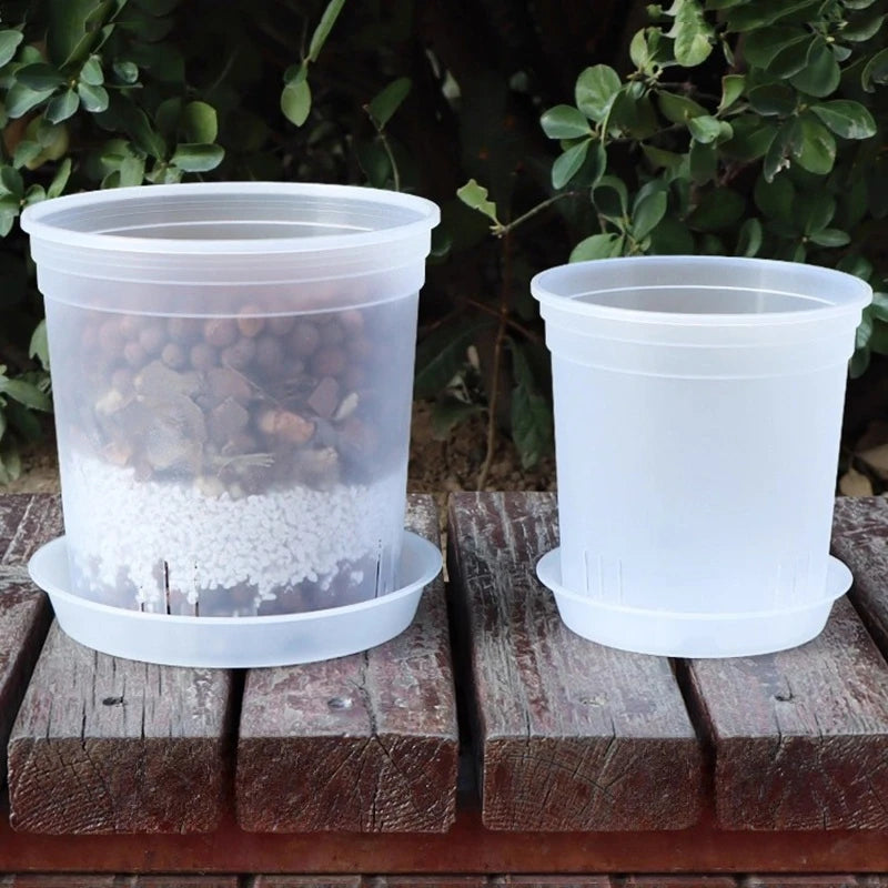 Transparent Nursery Plant Pot