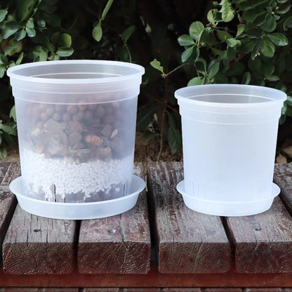 Transparent Nursery Plant Pot