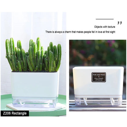 Self-Watering Plant Pot