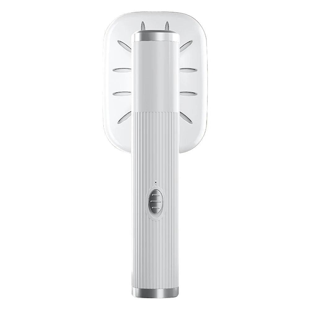 Portable USB Steam Iron
