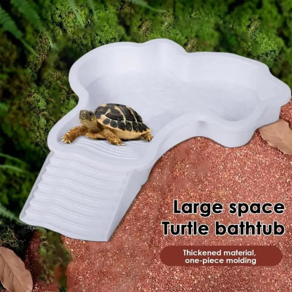 Reptile Bathing Pool with Ramp