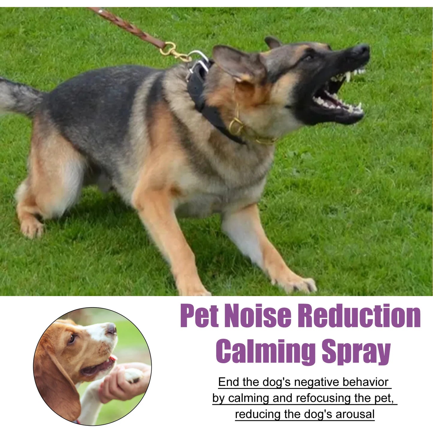 Pet Calming Spray for Cats & Dogs