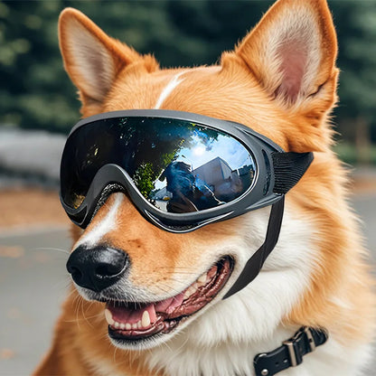 Anti-UV Pet Sunglasses for Outdoor Adventures & Travel
