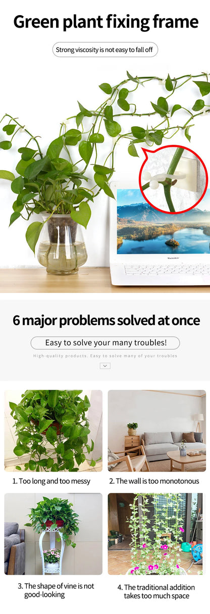 Self-Adhesive Plant Climbing Wall Clips for Vines & Cable Management