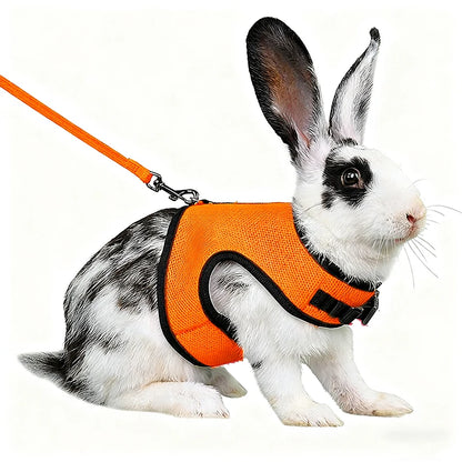 Breathable Small Pet Harness & Leash Set