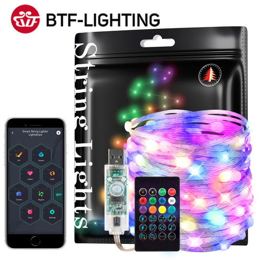 Dreamcolor Christmas Lights String BT Music WS2812B RGBIC