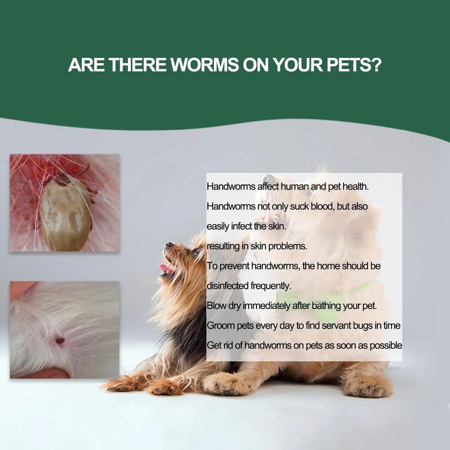 Pet Tick Remover Pen for Dogs, Cats & Humans