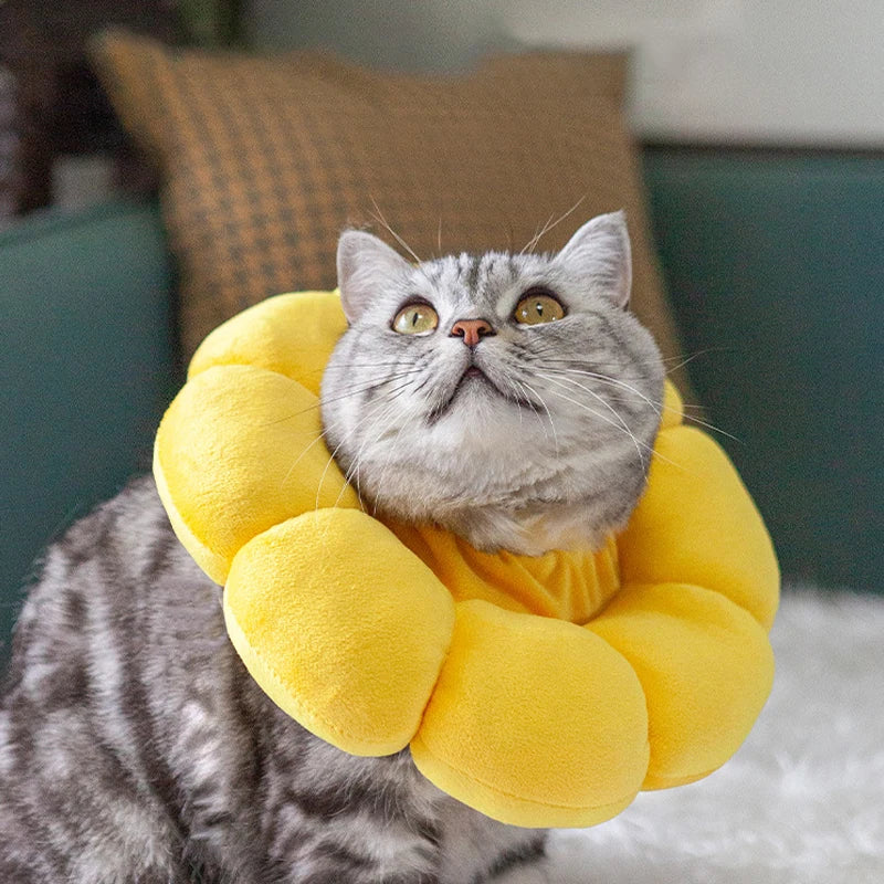 Sunflower Recovery Collar for Cats & Small Dogs