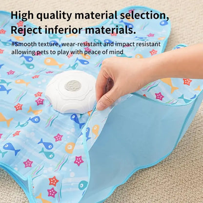 Interactive Hide & Seek Cat Toy with Moving Feather