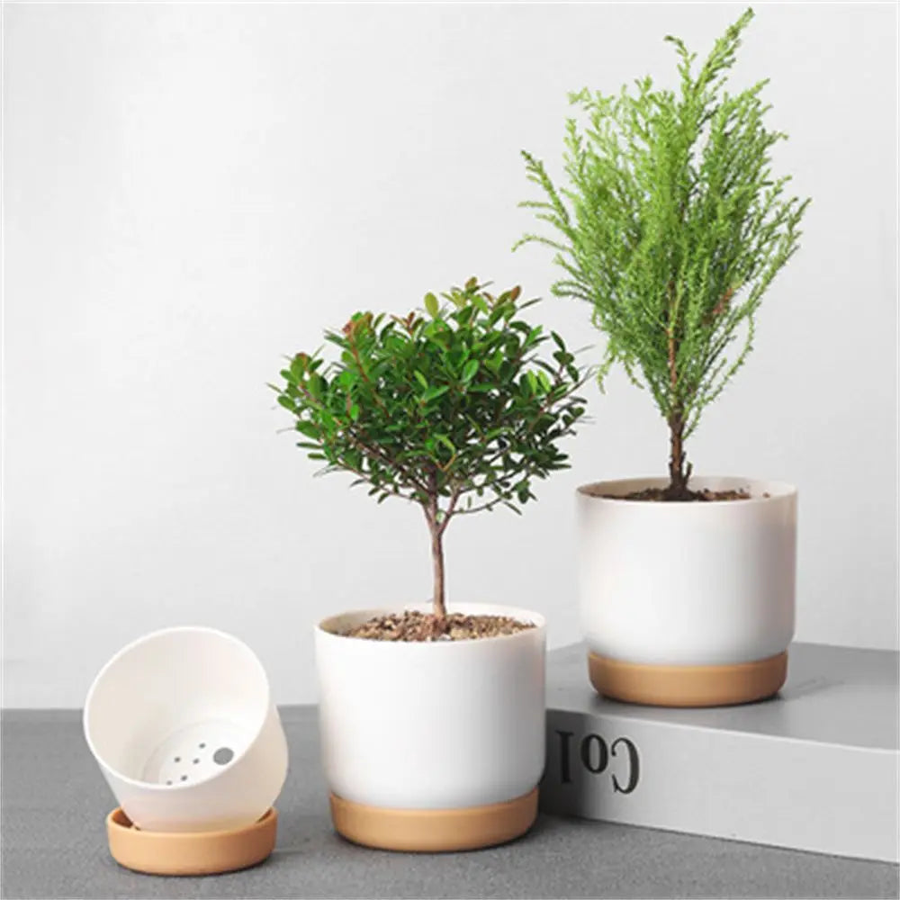 Self Watering Flowerpot