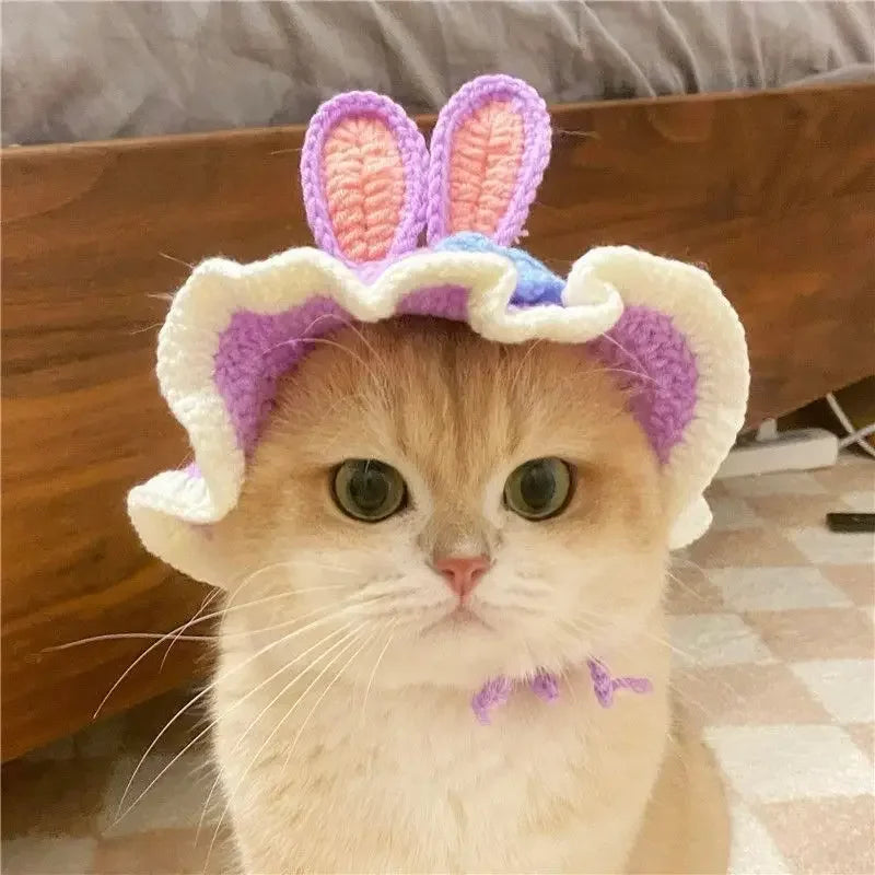 Autumn & Winter Knitted Cat Hat