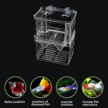 Acrylic Fish Breeding & Isolation Box for Aquariums