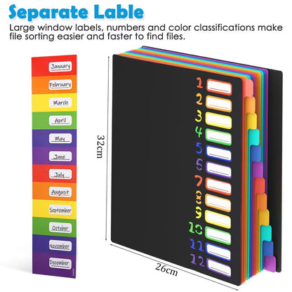 A4 Expanding File Folder with 12 Colour Tabs
