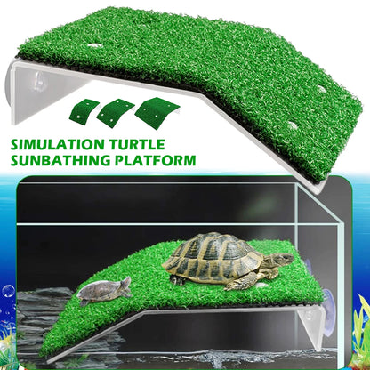 Turtle Basking Platform Ramp