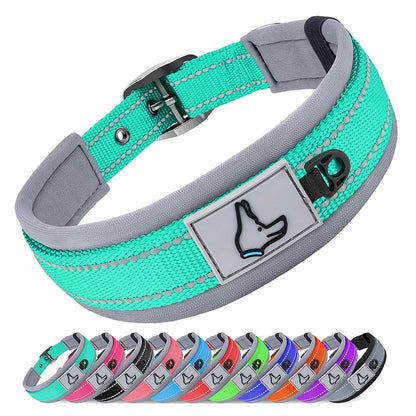 Reflective Padded Dog Collar