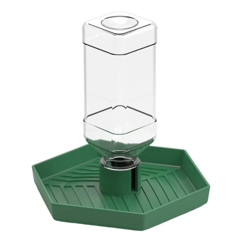 Reptiles Water Feeder Bowl