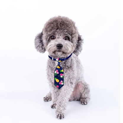 Dog Bow Tie Grooming Accessories Set