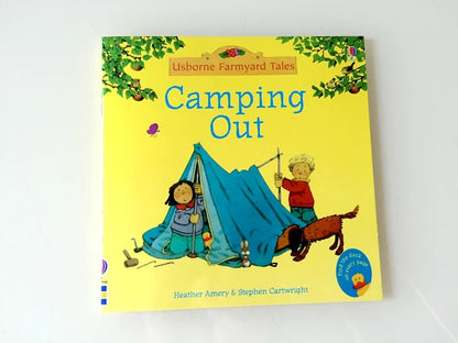 20 Usborne English Picture Books