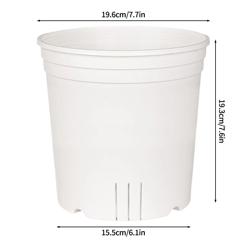 Transparent Nursery Plant Pot