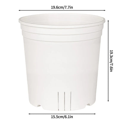 Transparent Nursery Plant Pot