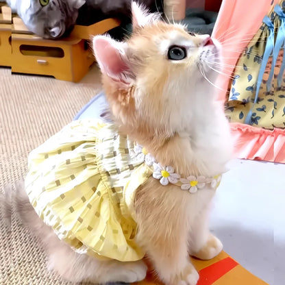 Floral Cat Skirt & Collar