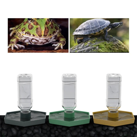 Reptiles Water Feeder Bowl