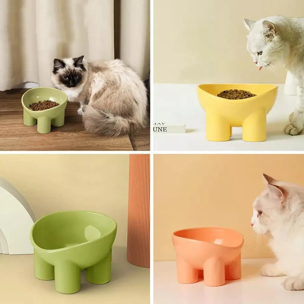 Elevated Tilted Pet Feeding Bowl