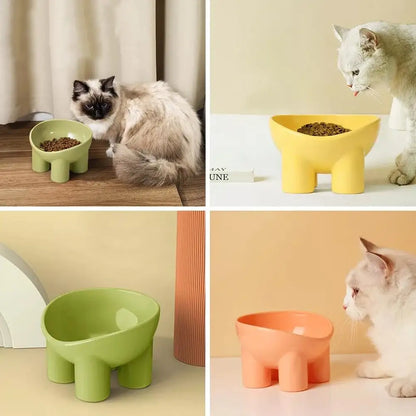 Elevated Tilted Pet Feeding Bowl