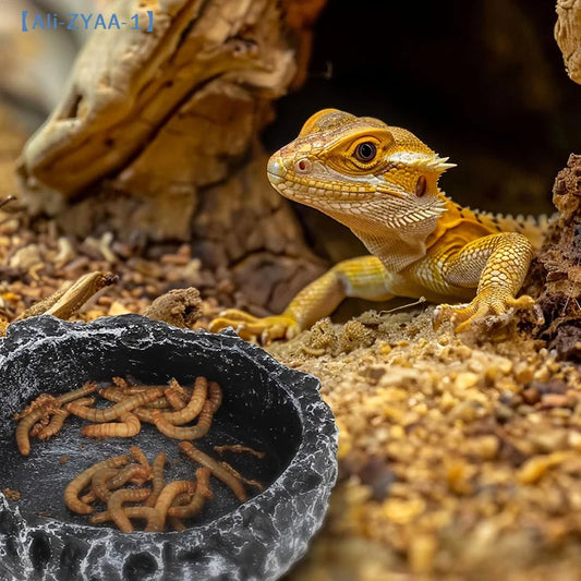 Natural Rock Reptile Feeding & Water Bowl