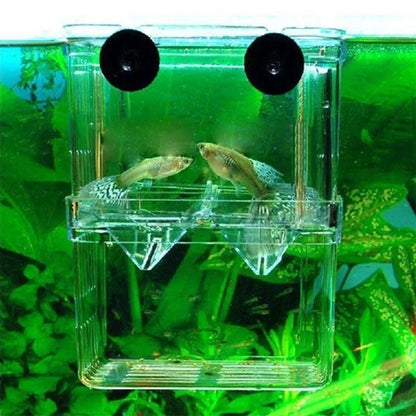 Aquarium Fish Breeding Isolation Box