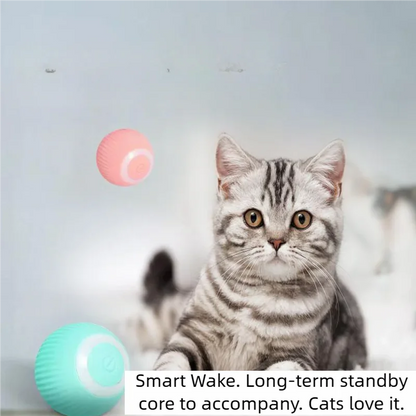 Automatic Rolling Cat Ball Toy