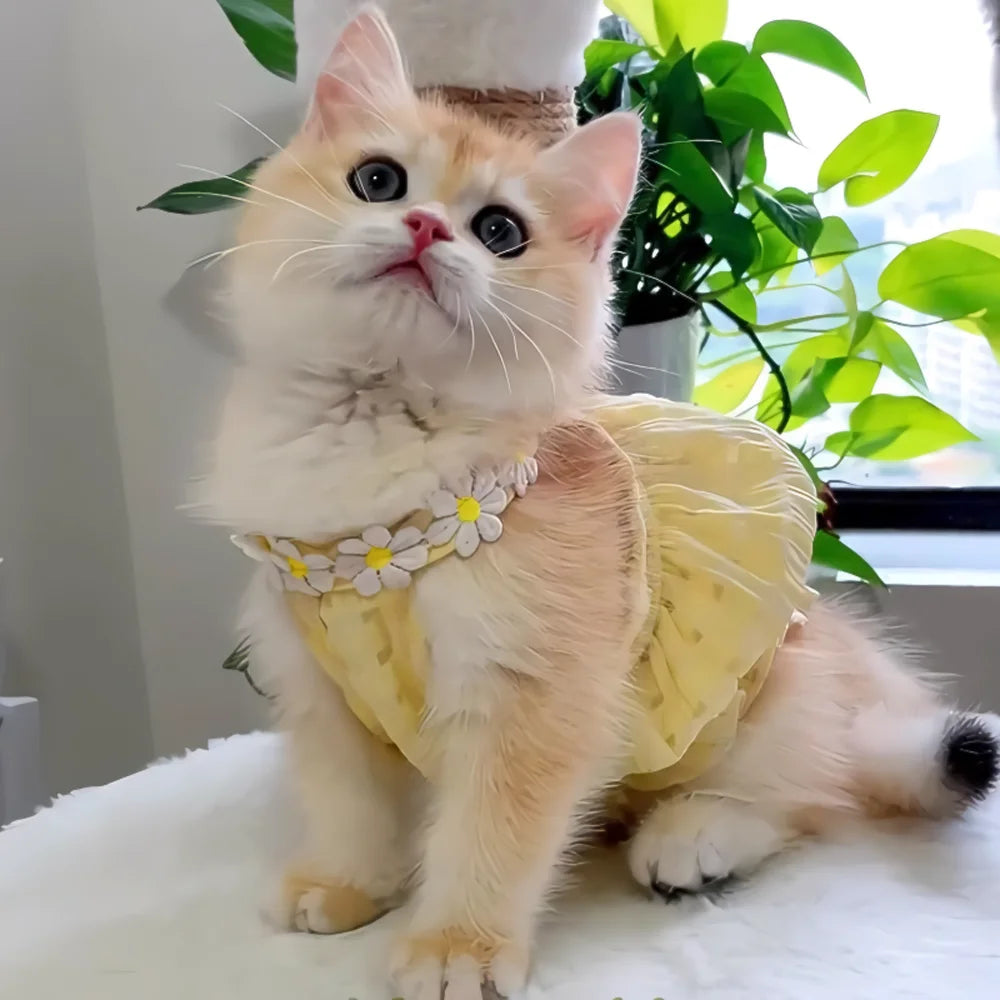 Floral Princess Pet Dress for Cats & Small Dogs