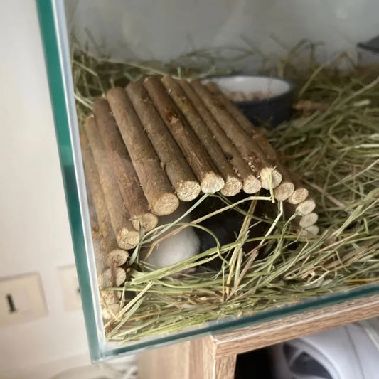 Natural Willow Bridge & Chew Toy for Small Pets