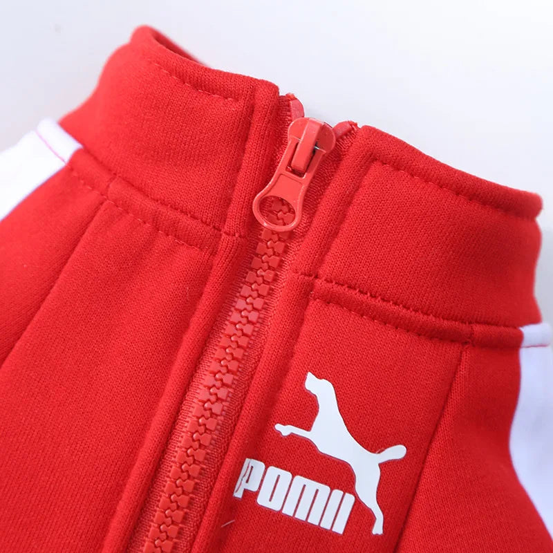 Baseball Dog Jacket – Winter Pet Hoodie for Small Dogs