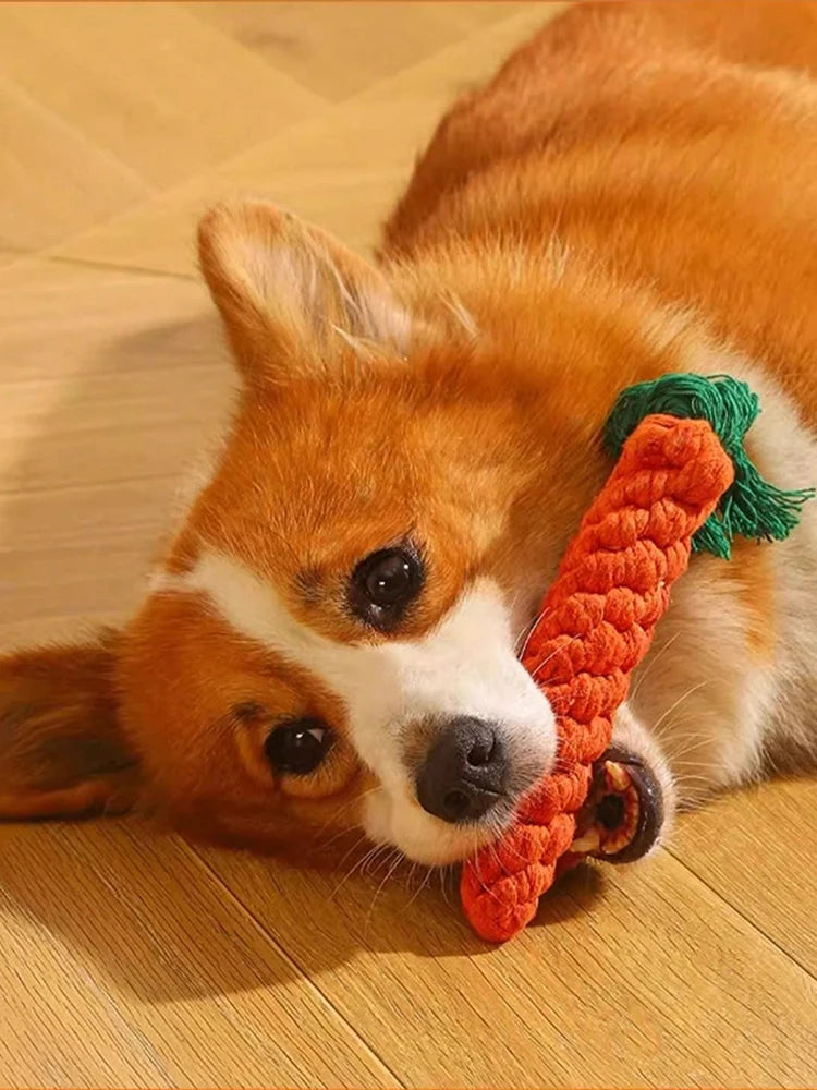 Hand-Woven Rope Knot Dog Toy