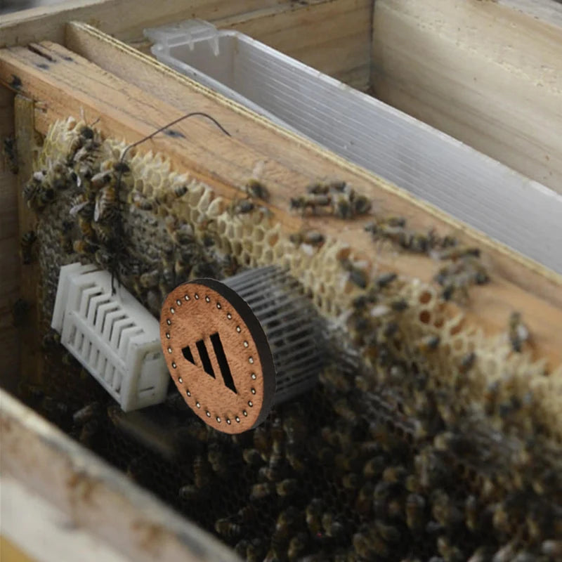 Wooden Queen Bee Catcher Cage
