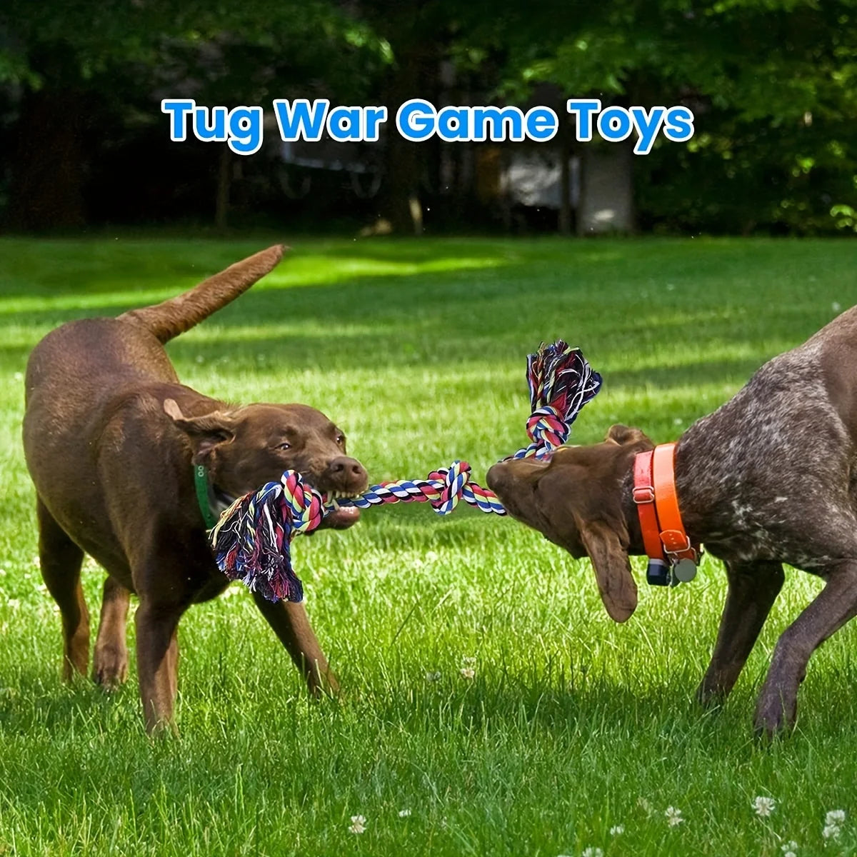 Knot Rope Dog Chew Toy