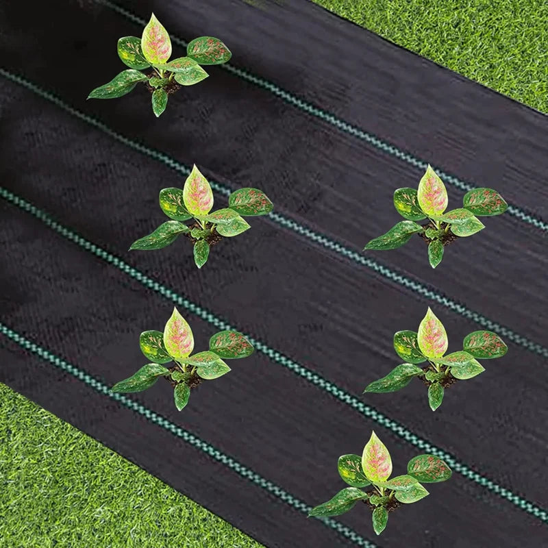 Garden Weed Barrier Landscape Fabric